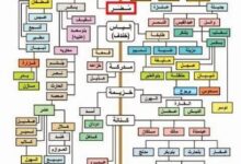 القبائل العدنانية: رحلة في أعماق النسب العربي وأصول القبائل