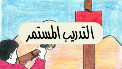 أهمية التدريب المستمر في تحسين الأداء الوظيفي
