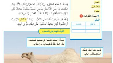 التكيف مع التغيرات: مفتاح التطور الشخصي والمهني