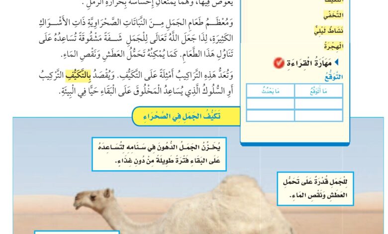 التكيف مع التغيرات: مفتاح التطور الشخصي والمهني