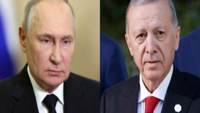 بوتين وأردوغان يدينان الهجمات الارهابية الإسرائيلية على إيران