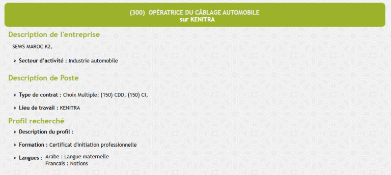 عروض عمل ANAPEC 2026 في القنيطرة