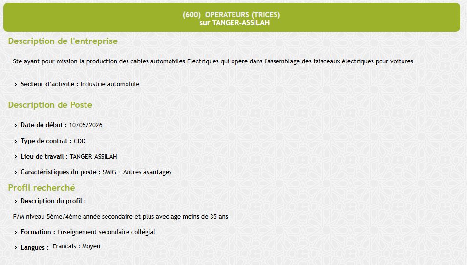 عروض عمل ANAPEC 2026 في طنجة